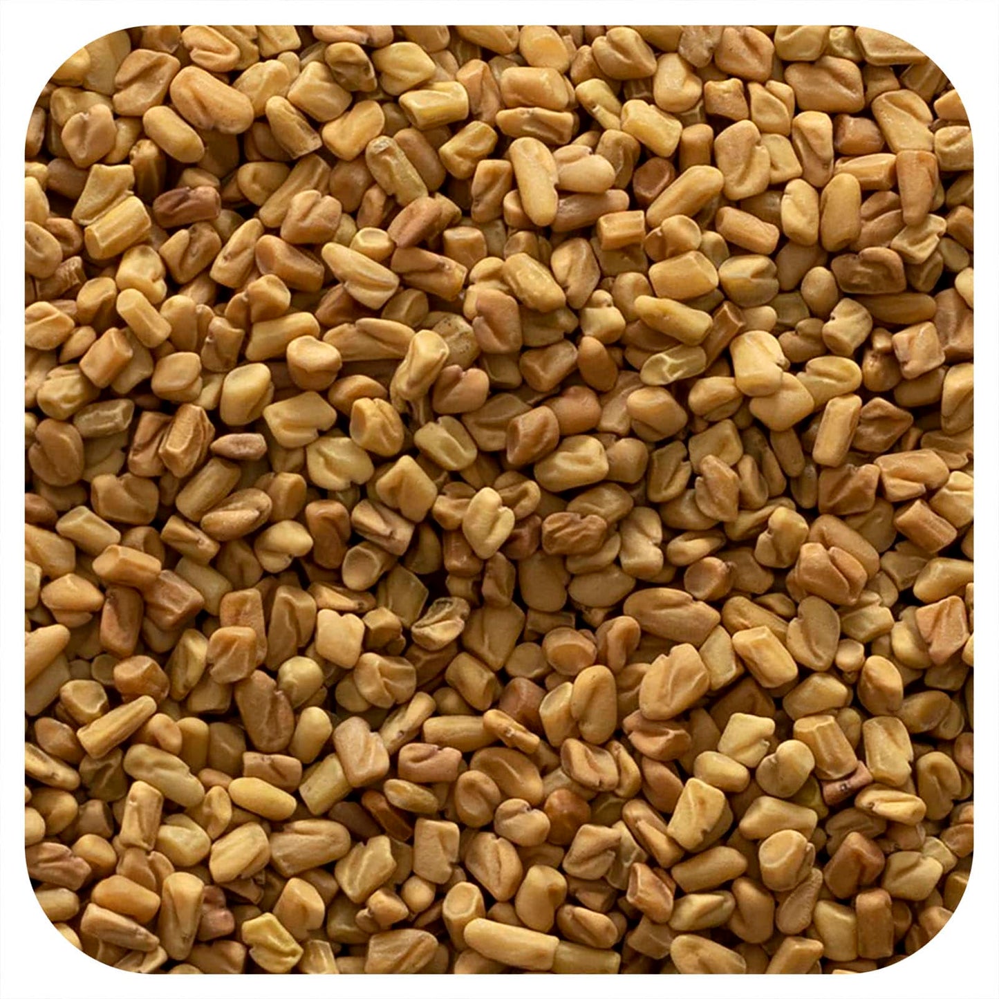 Frontier Co-op-Organic Whole Fenugreek Seed-16 oz (453 g)