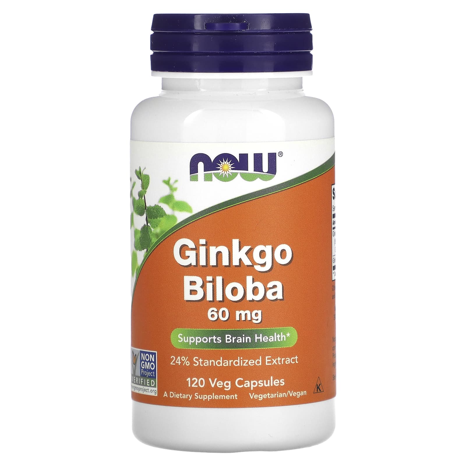 NOW Foods-Ginkgo Biloba-60 mg-120 Veg Capsules