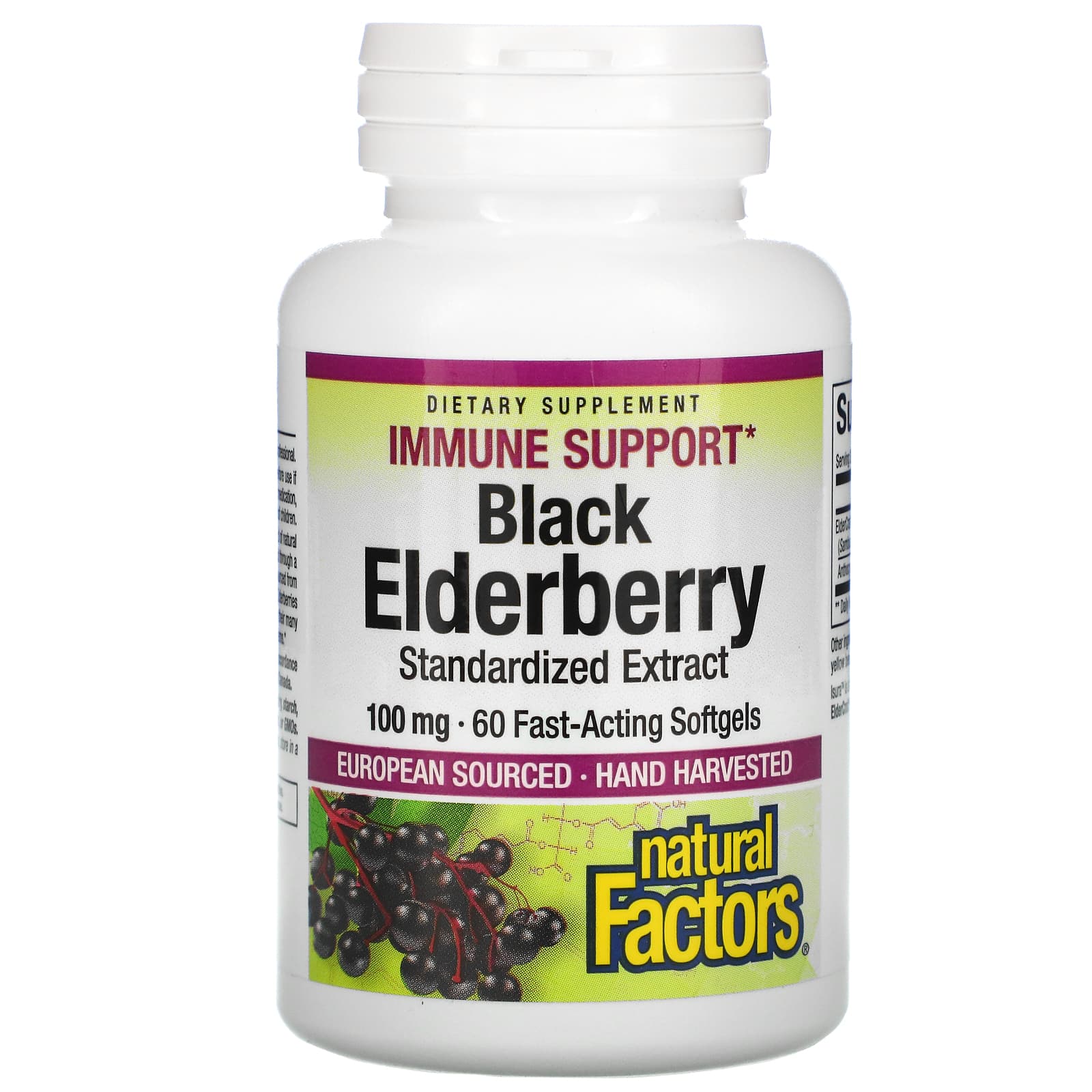 Natural Factors-Black Elderberry-100 mg-60 Fast-Acting Softgels