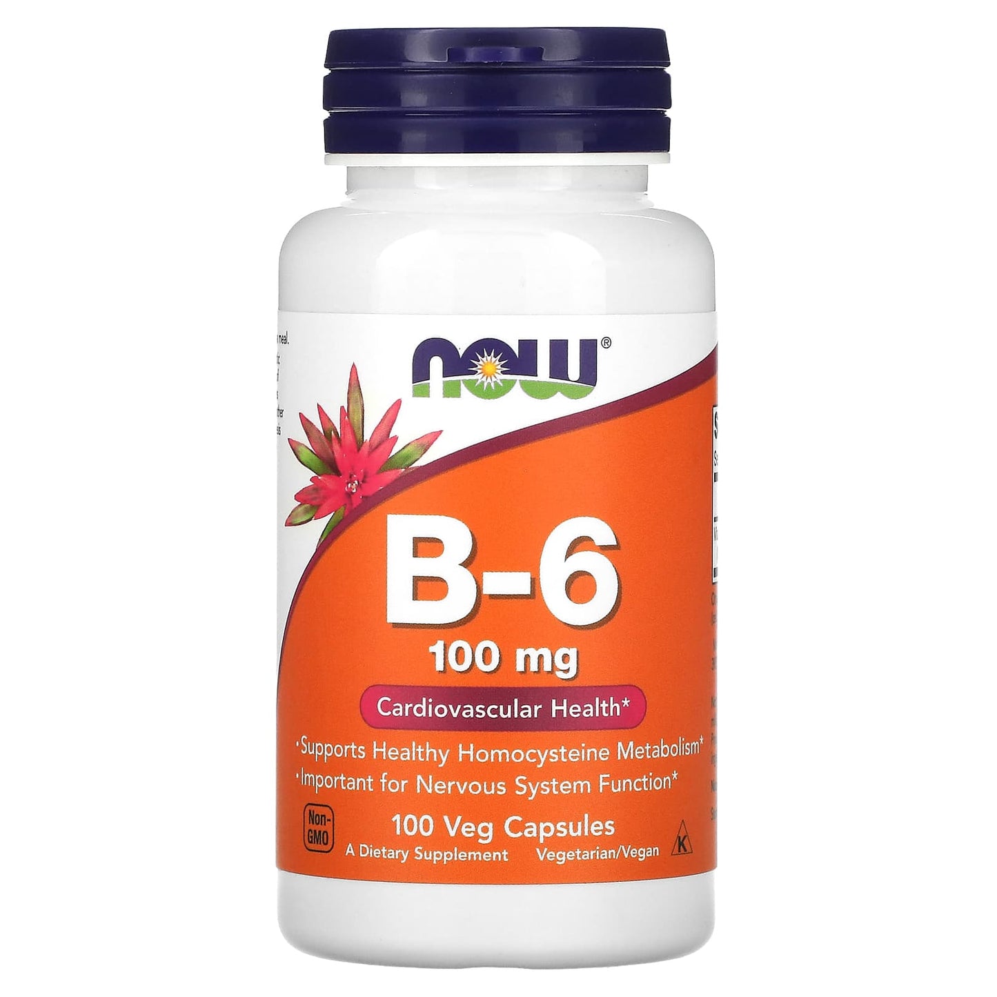 NOW Foods-B-6-100 mg-100 Veg Capsules