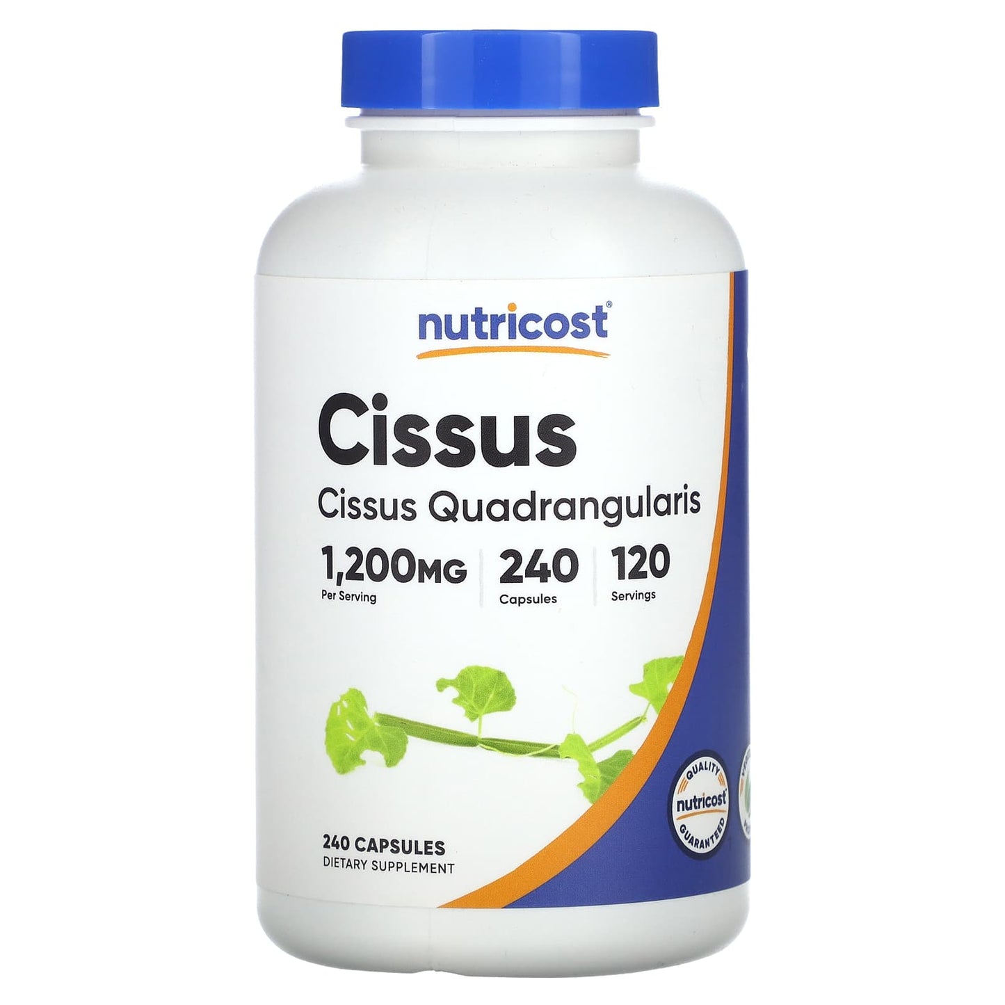 Nutricost-Cissus-600 mg-240 Capsules