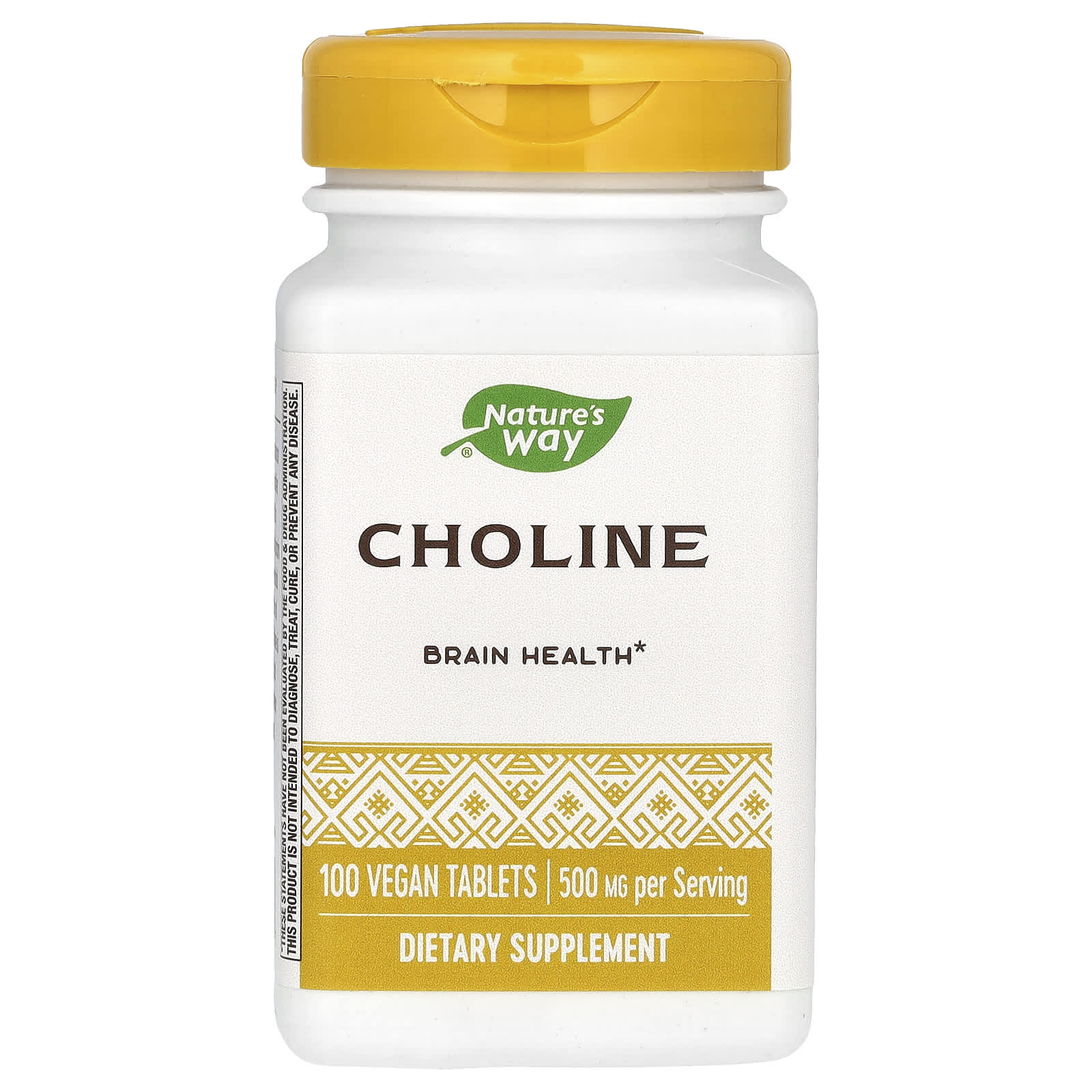 Nature's Way-Choline-500 mg-100 Vegan Tablets