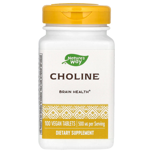 Nature's Way-Choline-500 mg-100 Vegan Tablets