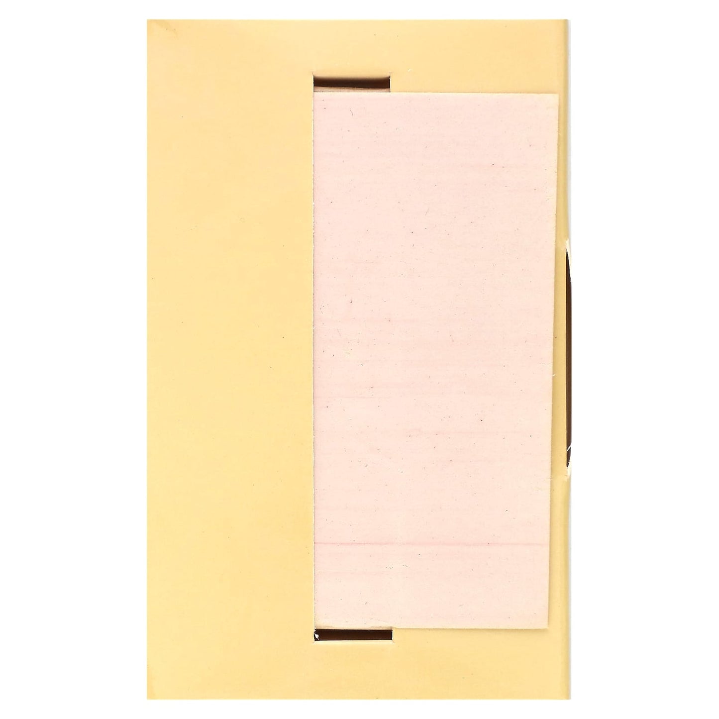 Palladio, Rice Paper, Oil-Absorbing Blotting Tissues, Natural RPA3, 40 Tissues