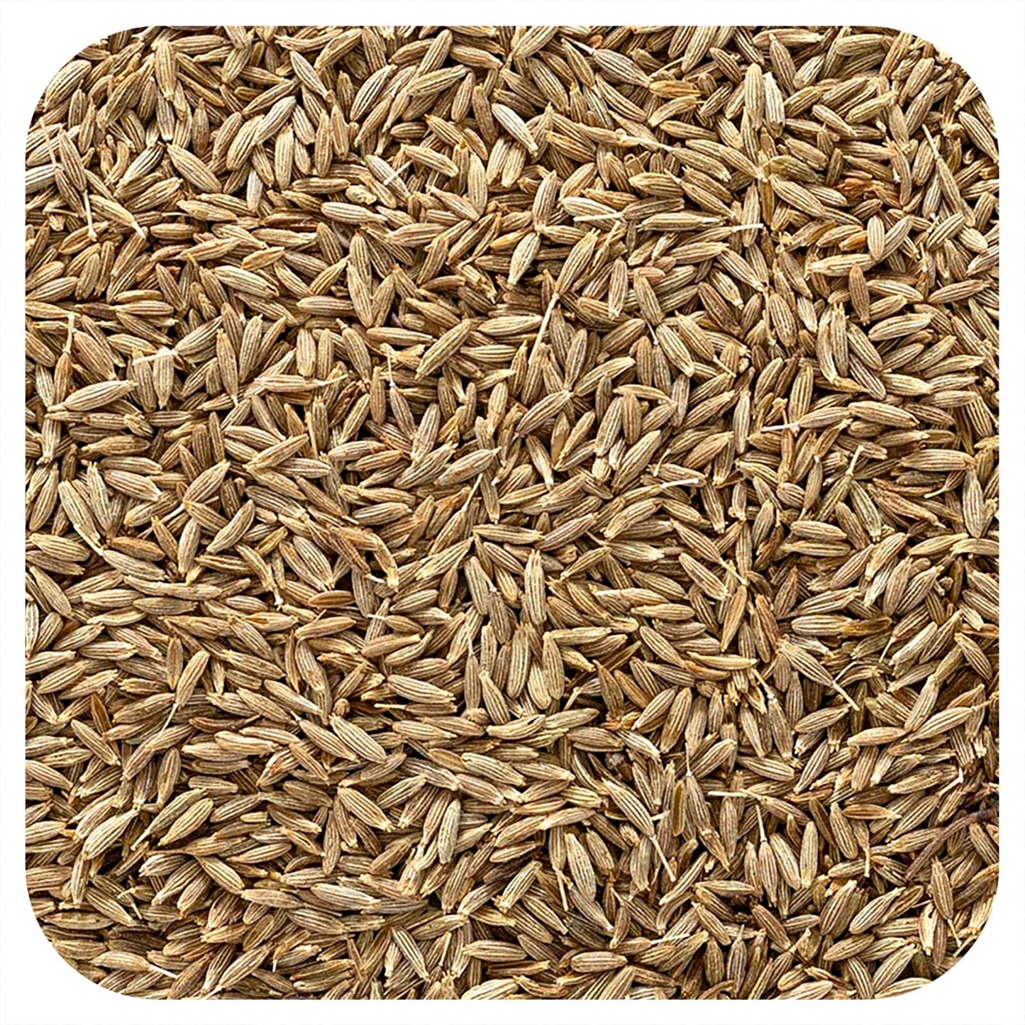 Frontier Co-op-Whole Cumin Seed-16 oz (453 g)